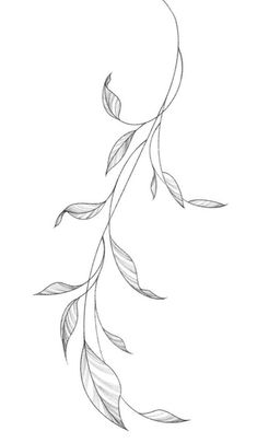 a drawing of a branch with leaves on it