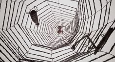 the inside of a spider web with two people in it