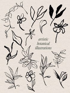 various hand drawn flowers and leaves