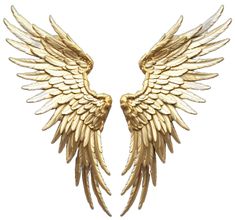 two gold angel wings are shown against a white background, one is facing the opposite direction