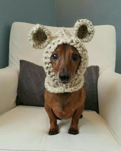 a brown dog wearing a knitted bear hat on top of a white couch next to a gray pillow