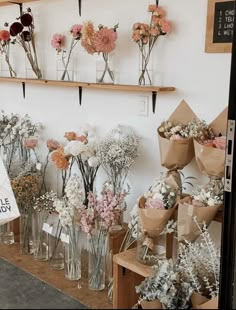 a bunch of flowers that are sitting in vases on the wall next to each other