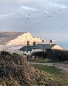 birds flying over the top of houses near the ocean and cliffs on a cloudy day