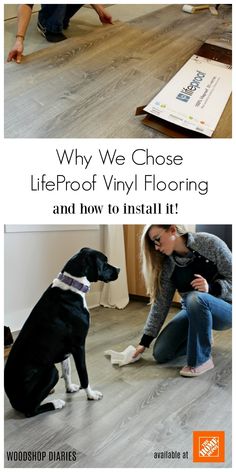 a woman kneeling down next to a black and white dog on top of a hard wood floor