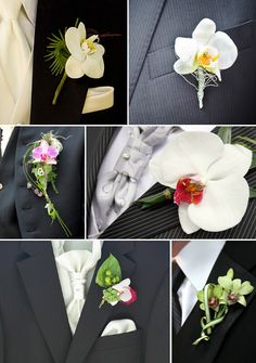 several pictures of different types of flowers on suits and tie pieces, including orchids