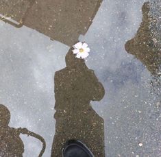 a person standing in front of a puddle with a flower on it