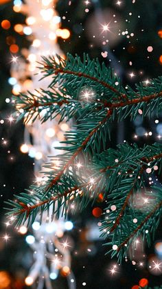 a pine tree with snow flakes on it's branches and blurry lights in the background