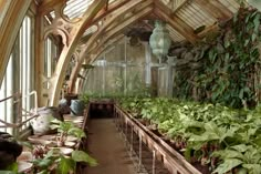 an indoor greenhouse filled with lots of green plants