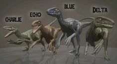 four different types of dinosaurs with the words blue, red, and black on them