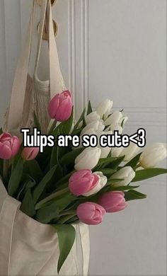 tulips are so cute - 3