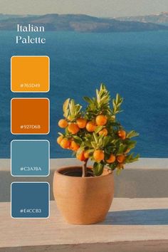 a potted plant sitting on top of a wooden table next to the ocean with oranges in it