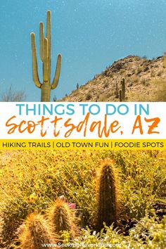 a cactus with the words things to do in scottsdale arizona hiking trails told town fun foodie spots