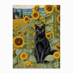 a black cat sitting on top of a field of sunflowers