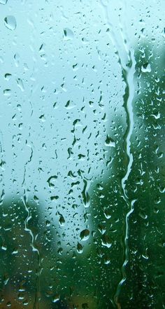 rain drops on a window with trees in the background