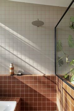 a tiled bathroom with a plant in the corner and a bathtub next to it