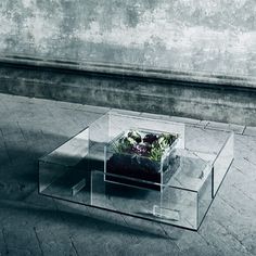 a glass coffee table with flowers in it