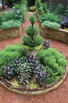 a garden filled with lots of different types of plants