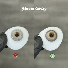 two birds with different colored eyes are shown in the same image as one looks at another bird's eye