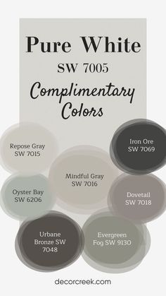 The image displays complementary colors for the paint "Pure White SW 7005" by Sherwin-Williams. It features circular color swatches labeled with their names, including Repose Gray, Mindful Gray, Oyster Bay, Iron Ore, Dovetail, Urbane Bronze, and Evergreen Fog. The background is a soft neutral, representing Pure White, and the design highlights a balanced mix of light and dark shades for a cohesive color palette. Dovetail Color Scheme, Colors That Compliment Iron Ore, Evergreen Fog Entryway, Mindful Gray Color Scheme, Iron Ore Sherwin Williams Color Scheme, Oyster Bay Vs Evergreen Fog, Repose Gray Walls With White Cabinets, Sw Oyster Bay Exterior, Sw Drift Of Mist Coordinating Colors