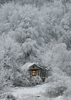 a cabin in the middle of a snowy forest with trees and bushes covered in snow