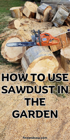 Lots of sawdust Best Chainsaw, Creative Things, Grass Seed, Diy Wood Projects Furniture, What Can I Do, Mulch