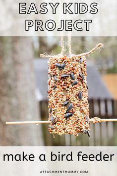 a bird feeder hanging from a tree with text overlay that reads easy kids project make a bird feeder