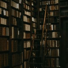 an old library filled with lots of books and ladders to the top of them