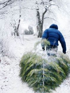 a man walking down a snow covered path carrying a christmas wreath on top of it