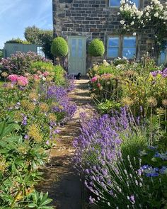 a garden with lots of purple flowers and plants in front of a brick building on a sunny day