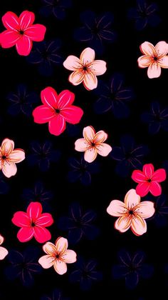 red and pink flowers on a black background