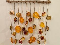 a wall hanging made out of dried oranges