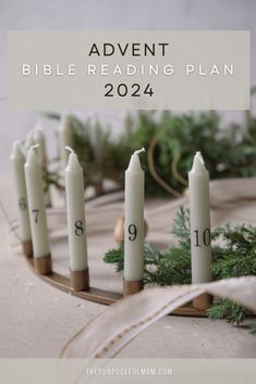 Advent Bible Reading Plan for 2024 (Free Printable) - The Purposeful Mom Advent Bible Reading Plan, Keep Christ In Christmas, Advent Readings, Christ In Christmas, Advent Devotionals, Jesus Stories, Calendar Ideas