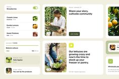 an image of people picking fruit from the trees and plants in their garden website design