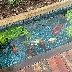 a fish pond with goldfish and lily pads on the bottom, surrounded by wooden planks