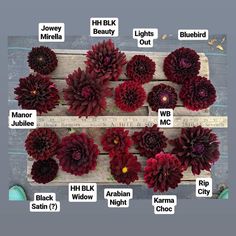 several different types of flowers are shown on a wooden surface with words describing the names of them