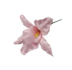 "M&S Schmalberg 3\" Pink Tropical Iris Lily Artificial Fabric Flower Brooch Pin - Hand Made in NY Iris, Fressia, Tiger Lily, Stargazer Lily, Lillies Genuine M&S Schmalberg Flower Hand-Made in New York City Garment District, Since 1916 https://www.customfabricflowers.com Want to see our factory at work? https://bit.ly/2o6iAZF As Seen in The NY Times! https://bit.ly/2nwvrHI ----------------------------------- Welcome to the Official M&S Schmalberg Etsy Shop! All of our Custom Fabric Flowers are ha Pink Iris Flower, Lily Stargazer, Fabric Flower Brooch, Stargazer Lily, Flower Icons, Flowers Png, Pink Tropical, Nothing But Flowers, Iris Flowers