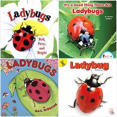 four different ladybugs books are shown