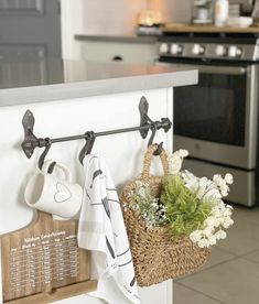 a potted plant hanging from a kitchen rack with mugs and tea towels on it