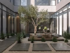 an outdoor courtyard with seating and trees in the center, surrounded by glass walls on both sides