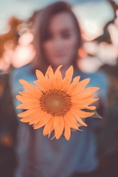 a woman holding a large sunflower in her hand