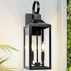 an outdoor wall light with two lights on the front and back of it, next to a potted plant