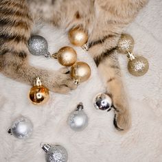 a cat laying on top of a white blanket next to christmas ornaments and bells in silver and gold colors