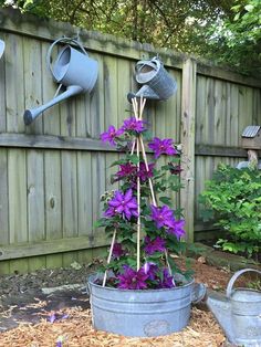 purple flowers are growing in an old metal bucket on the side of a wooden fence