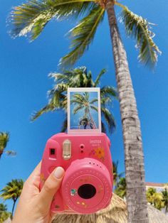 a person holding up a pink camera in front of palm trees and a blue sky