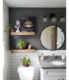 a white toilet sitting under a bathroom mirror next to a sink and a potted plant