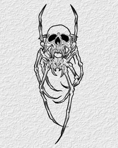 a black and white drawing of a spider with a skull on it's back