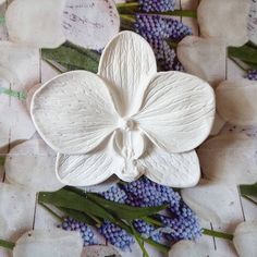 a white flower is laying on some blue berries