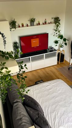 a living room with a bed, television and plants