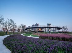 purple flowers are in the foreground and a circular walkway leads to an observation tower