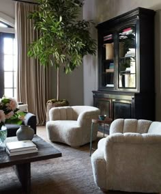 a living room filled with furniture and a large potted plant in the middle of the room